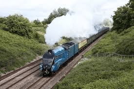Cathedral Steam Train