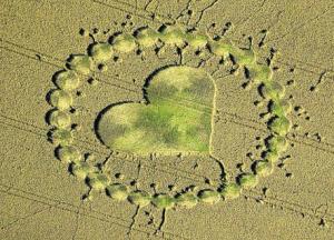An intricate pattern in a field near Calne in August 2000