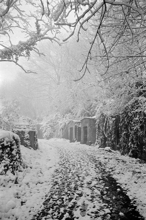 john-gay-highgate-cemetary-mf001673_14