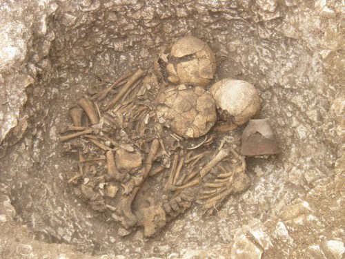 New theory over Stonehenge origins A Beaker or Bronze Age infant burial site at Larkhill. Picture by Wessex Archaeology