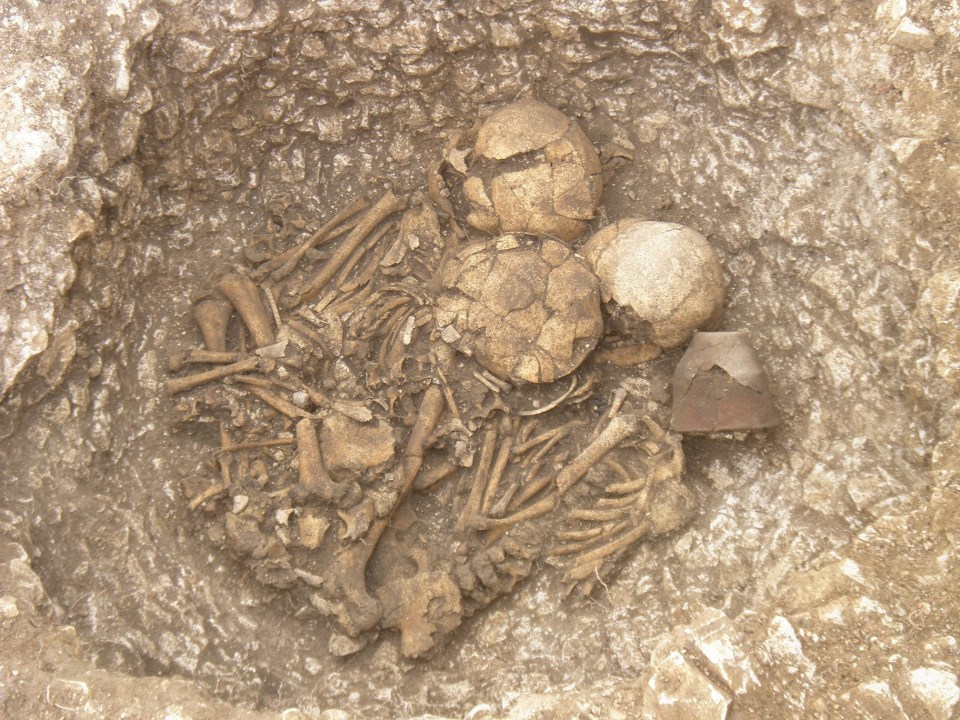New theory over Stonehenge origins A Beaker or Bronze Age infant burial site at Larkhill. Picture by Wessex Archaeology
